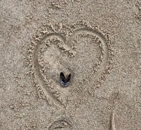Die Kleine Acht - Direkt Am Strand Dierhagen Eksteriør billede