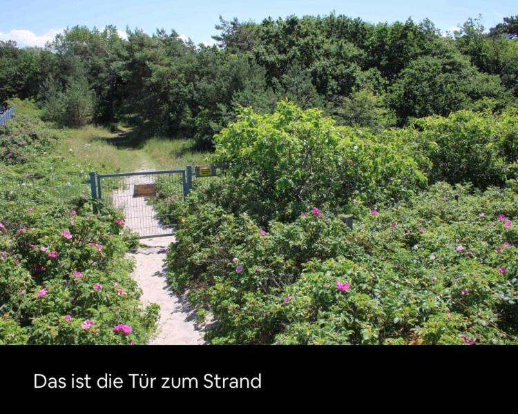 Apartment Kleine Acht - Direkt Am